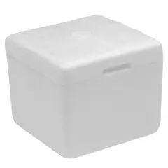 GENERICO - Nevera en Icopor Caja Mini 10 Unidades