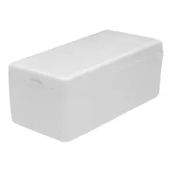 GENERICO - Nevera en Icopor Insulina 16 Unidades