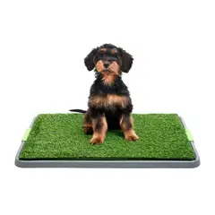 ENERGY PLUS - Tapete Sanitario Para Perros Pasto Sintético Orinal Cachorro