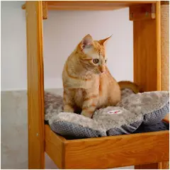 GUAMBA - Colchoneta Para Gato Mediana 60x70cm