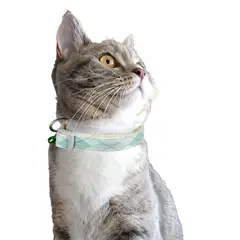 PETIZOOS - Collar Para Gato Cuadros