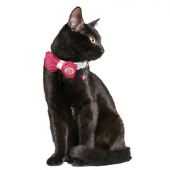 PETIZOOS - Collar Para Gato Mono