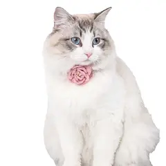 PETIZOOS - Collar Para Gato Rosa