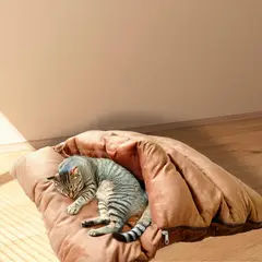 PETIZOOS - Cama Sleeping Para Gato