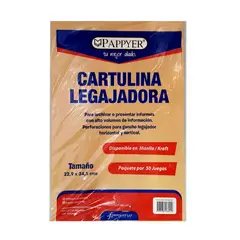 undefined - Cartulina Legajadora x 100 Fabrifolder