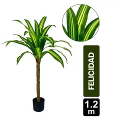 GIO HOME - Mata de La Felicidad 120 Cms