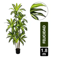 GIO HOME - Mata De La Felicidad X 7 Troncos - 180 Cms