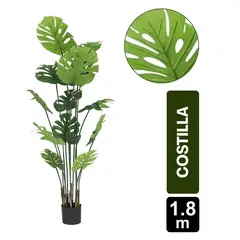 GIO HOME - Mata Costilla De Adan X 12 Hojas - 180 Cms