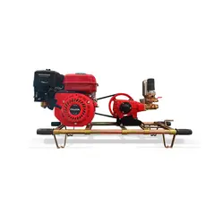 FUJITA - Fumigadora Estacionaria de 30 Litros Con Motor a Gasolina