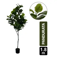GIO HOME - Ficus Pandurata 180Cm