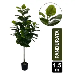 GIO HOME - Ficus Pandurata 150cm
