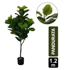 GIO HOME - Ficus Pandurata 120cm