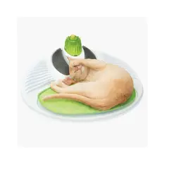 CATIT - Senses Wellness Center Estacion Bienes