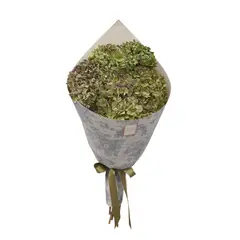 undefined - Hortensias Eternas