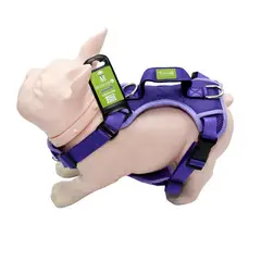 ARTECMA - Pechera Mascota Talla m Morado y Lila