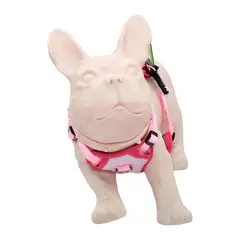 ARTECMA - Pechera Mascota Talla m Rosada