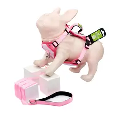 ARTECMA - Pechera y Correa Para Perro Rosado y Fucsia Talla L