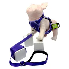 ARTECMA - Pechera y Correa Morado y Lila Talla m