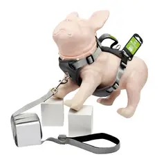 ARTECMA - Pechera y Correa Para Perro Gris Talla L