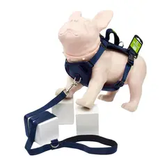 ARTECMA - Pechera y Correa Para Perro Azul Rey Talla S