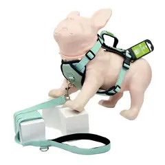 ARTECMA - Pechera y Correa Para Perro Aguamarina y Azul Talla S
