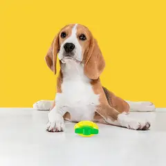 undefined - Piña Jelly para Cachorros Sonido Medio Dogl