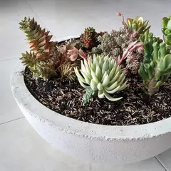 GENERICO - Matera Semiesfera En Concreto 50