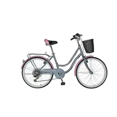 SCOOP - Bicicleta Urbana Venezia R24 6V Gris