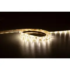 DAIRU - Cinta LED Luz Fría 5 M Ip44