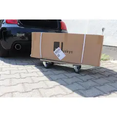 FIXSER - Rueda Giratoria Tpe 150 Kg