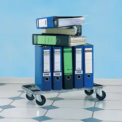 FIXSER - Rueda Giratoria Con Freno 35 Kg