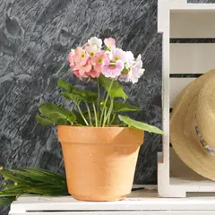 DISTRIRAQUIRA - Matera Arcilla Cónica Campana 20x20x18cm Terracota