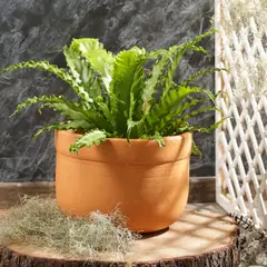 DISTRIRAQUIRA - Matera Arcilla Redondo Bola 32x22x32cm Terracota