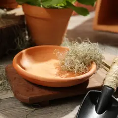 DISTRIRAQUIRA - Plato Para Matera Arcilla Redondo 21cm Terracota