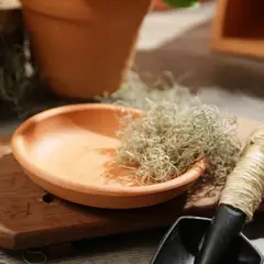 DISTRIRAQUIRA - Plato Para Matera Arcilla Redondo 18cm Terracota