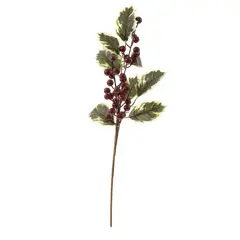DEAR SANTA - Pick Poinsettia Berries Noel