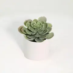 JUST HOME COLLECTION - Suculenta Artificial 18cm