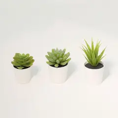 JUST HOME COLLECTION - Juego 3 Suculentas Artificiales 14cm
