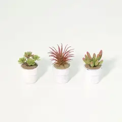 JUST HOME COLLECTION - Juego 3 Suculentas Artificiales 7cm