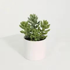 JUST HOME COLLECTION - Suculenta Artificial 20cm