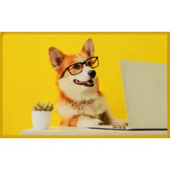 CASA BONITA - Tapete Dog Glass 50x80