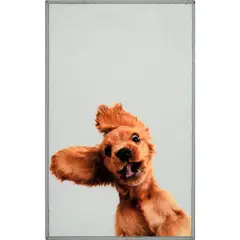 CASA BONITA - Tapete Dog Sorpresa 50x80