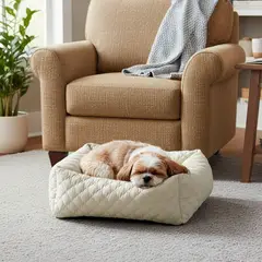 PETIZOOS - Cama Para Perro Rectangular 47x37x17cm Pequeña