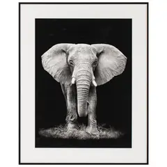 JUST HOME COLLECTION - Cuadro Elefante 40x50