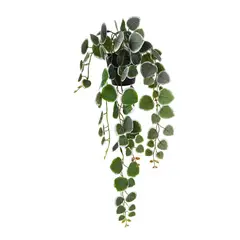 JUST HOME COLLECTION - Planta Artificial Ceropegia 60cm Green