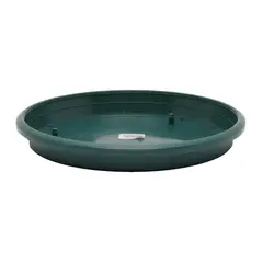 RIPCOL - Plato Para Matera 29.5 Cm Verde