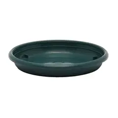 RIPCOL - Plato Para Matera 22.5 Cm Verde